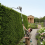 ECKMAN Duo-Trim Telescopic Hedge Trimmer Tool 6