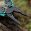 Multi-Function Tool Folding Pliers Needle-Nosed Pliers Multi-Function Small Pliers Outdoor Emergency Survival Gadgets B 6
