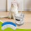 Ersatzfilter für Katzenbrunnen WF050/WF060, 12 Stück 5