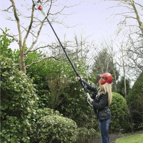 ECKMAN 8ft Telescopic Pole Chainsaw 750W Tool