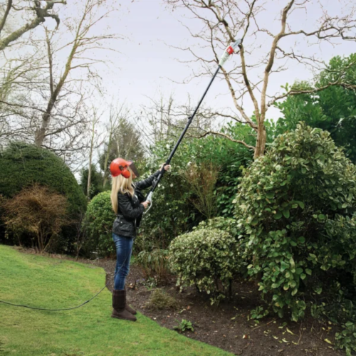 ECKMAN 8ft Telescopic Pole Chainsaw 750W Tool 2