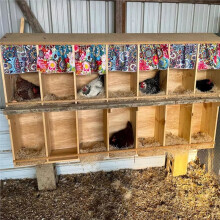 Chicken Coop Coconut Fiber Mat, Poultry Laying Mat, Environmentally Friendly, Glue-Free, Washable Chicken Coop Straw Mat