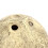 Airflows Coconuts Hamster House Warm Hideaways For Small Animal 4