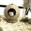 Airflows Coconuts Hamster House Warm Hideaways For Small Animal 7