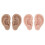 Realistic Silicone Ear Practice Tool For Ear-dark skin color 2