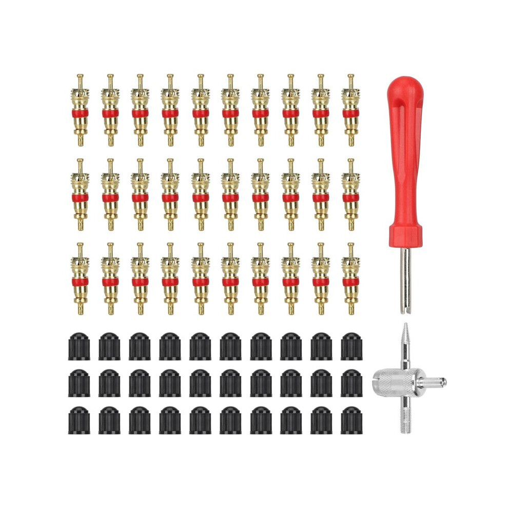 62Pcs Kit Valve Core Car Motorcycle Bike Tire Valve Core Vacuum Tyre Valve Stems Core Remover Bicycle Accessories 4713940347888
