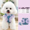 Harnais pour chien durable pour petits chiens sans-L Bleu 4