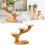 Modern Bamboos Planter Stand For Succulents Collection-2 3