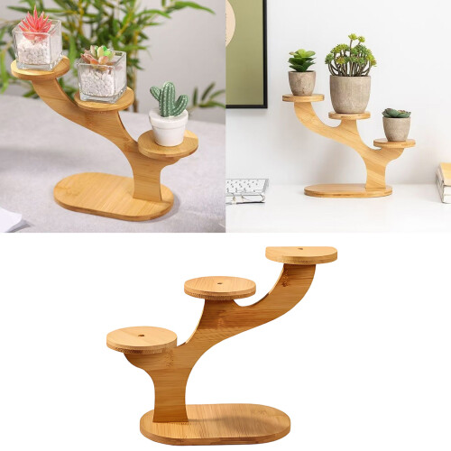 Modern Bamboos Planter Stand For Succulents Collection-2 2