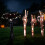 LED Bat Yard Stake Plastic Halloween Props With Glowing Effect 6