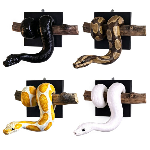 Realistic Ball Snake Wall Art Sculpture Wall Mounted-Black 1