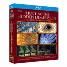 Hunting the Hidden Dimension + The Secret Life of Chaos Blu-ray 1080P BD English