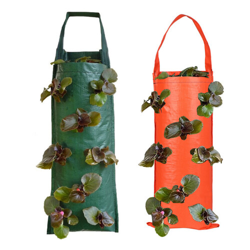 Grow-Bag-Beutel für den Außenbereich mit optimaler-Mandarine 1