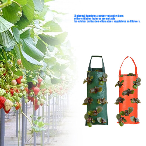 Sac de jardinage vertical parfait pour cultiver des-Vert 2