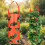 Sac de jardinage vertical parfait pour cultiver des-Vert 7