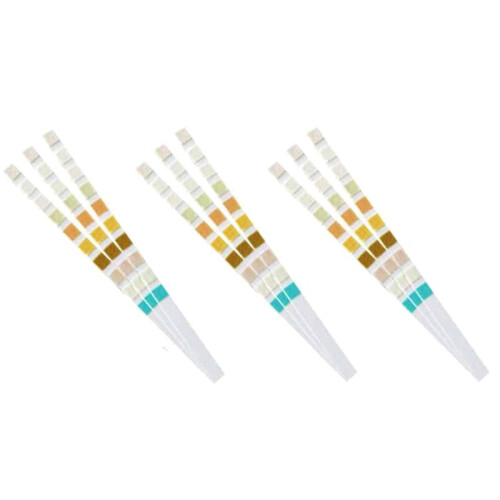 500  de Test D'Urine 10 Paramètres 2
