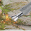 ECKMAN Electric Weed Burner Eco Garden Tool 3