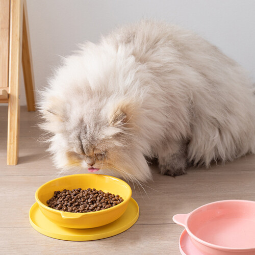 Flexible Feeding Pad For Pet Placemat Bowl Mat Dining-Blue 2