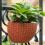 Wandhalterung, Rattankorb, Korbgeflecht, Blumentopf,-Schwarz 5