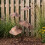 Sculptures de champignons en fer, Styles antiques, piquet de 6