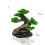 Miniature Moss Tree Fishtanks Landscape Accessory Resin Water-M 3