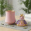 Creative Frogs Shape Silicone Mould For Handmade Candle And 6