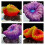 Artificial Corals Reef Aquarium Landscape Accessory-Pink 5
