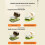 Mini Turtles Aquariumset wordt geleverd met-creme wit groot 3