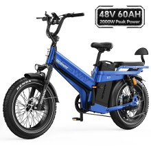 TESWAY X7 PRO Electric Bike 2000W 20*4" Cargo E-Bike 320km Range NFC 28Mph