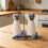 Contemporary Kitchen Tool Ceramic Burr Pepper-Blue 6