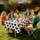 6 Count Athletic Party Table Protectors In Standard Dark-White 2