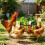 Round Hanging Bird Meal Dispenser Featuring sophisticated Design 7