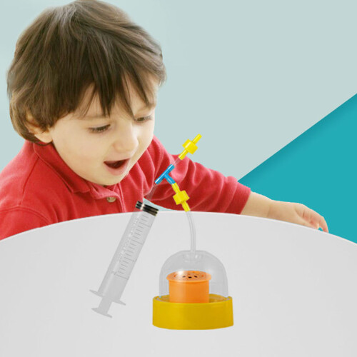 Vacuum Sound Experiment Set Educational Physics Learning 1