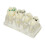 Caries Dents Transparent ABS Pour Formation Orale 1