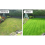 ECKMAN Electric Lawn Scarifier Aerator Tool Set 4
