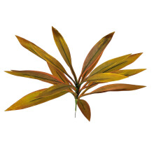 Real uitziende Brazilwood Dracaena simulatie plant zijde-koffie