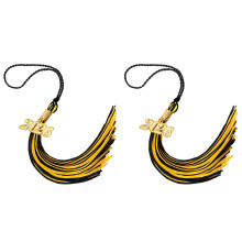 2026 Year Charm Graduation Cap Tassels-Gold Black 2PCS
