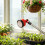 4Pack High Flows Garden Sprays Nozzles-Black 1000 mesh 6