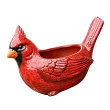 Cartoon Succulents Pots Birds Succulents Planter Container