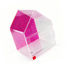 Hagedissen Box Container met voedingspoort Magnetische-Roze