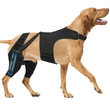 Stabilisateur de soutien de jambe arrière pour animaux de-XXL