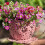 Pot de fleurs décoratif rétro en fer, conteneur pour-Rose 7