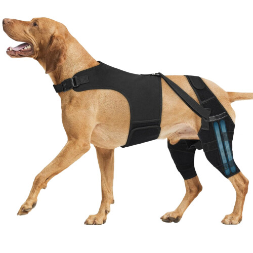 Dog Knee And Hip Support Garment For Joint Weakness And Post-M 1