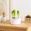 Jardinière hydroponique polyvalente, pot de fleurs en-Blanc 3