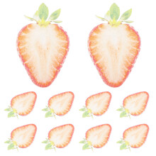 10Pcs Waterproof Acrylic Bookmarks Red Fruit Slice Cute Book Markers