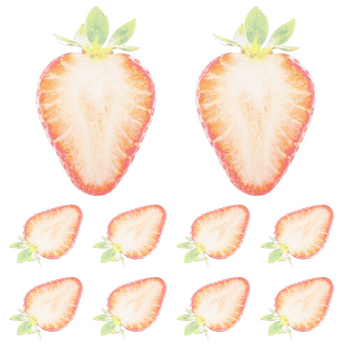 10Pcs Waterproof Acrylic Bookmarks Red Fruit Slice Cute Book Markers