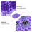 Massage Relaxation Corps PVC 7 Billes Acier Violet 4