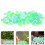 500Pcs Night Glow Resin Decorative Pebbles for Aquarium 8