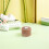 Cute Wooden Tooth Storage Case for Kids Beige Material 3