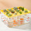 Practical All Purpose Plastic Propagation Case Grower Box-White 6